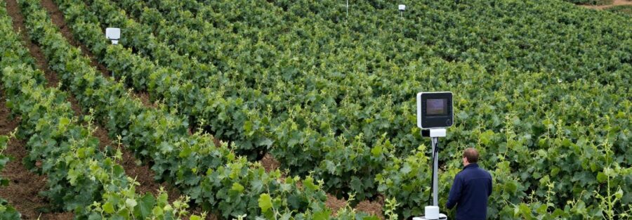 Prevención de deslizamientos en viñedos: Un enfoque innovador